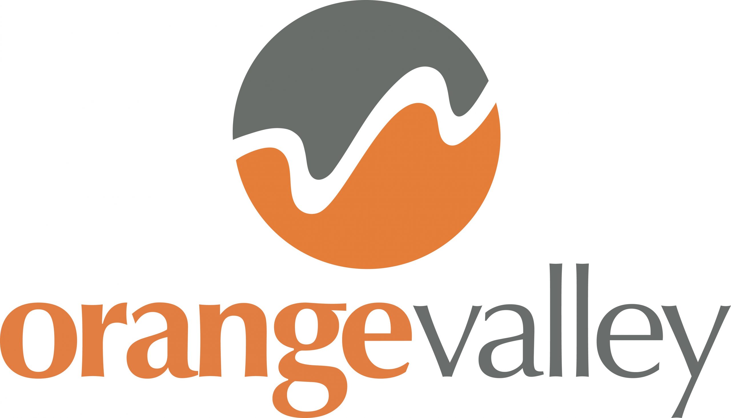 Image: OrangeValley share how honoured they are to win a Silver Award at the European Search Awards